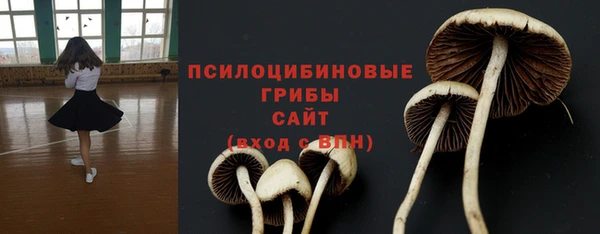 соль ск Карпинск