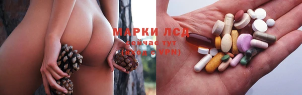 прущие грибы Карталы