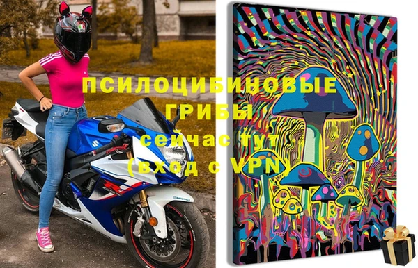 скорость Касимов