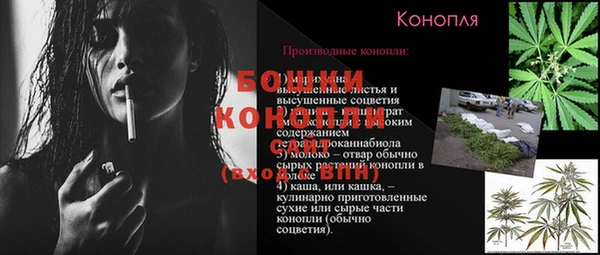 прущие грибы Карталы