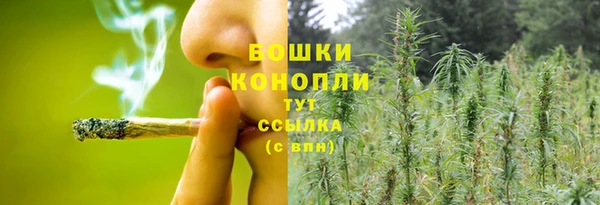 СК Кинешма